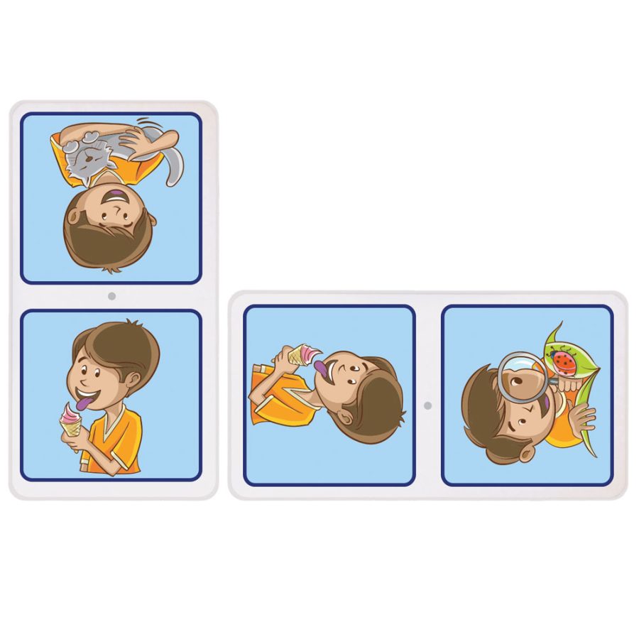 Domino Jumbo Ilustrado 5 Sentidos